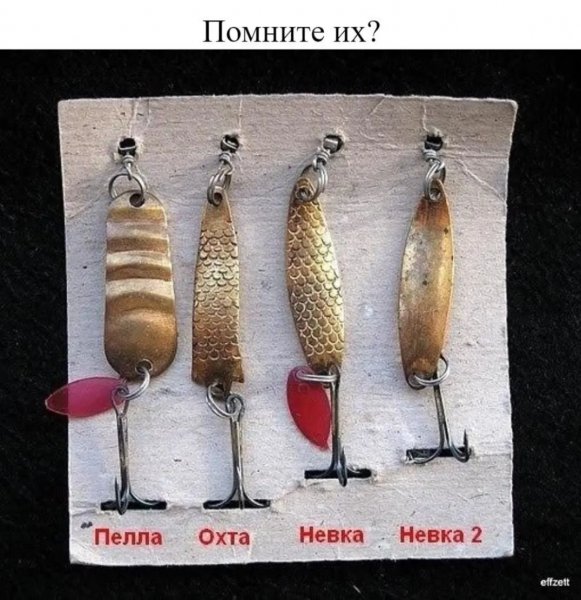 file_91683088