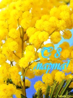 file_14402629