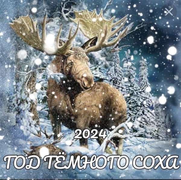 file_95499291