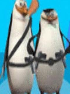 Bloody Madagascar Penguins