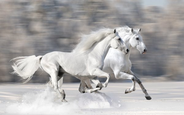 Running Horses 2