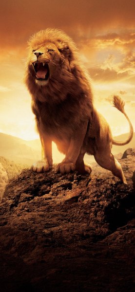 IMG 20251018 135434 772