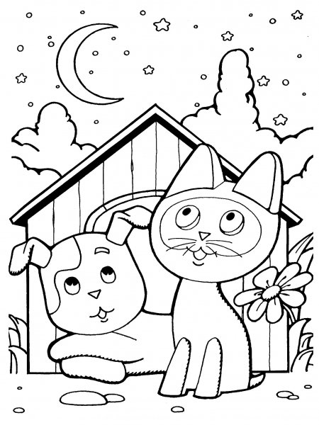 file_11711751