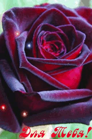 file_74624292