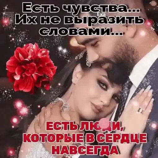 file_101504382