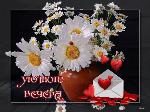 уютного вечера 031019