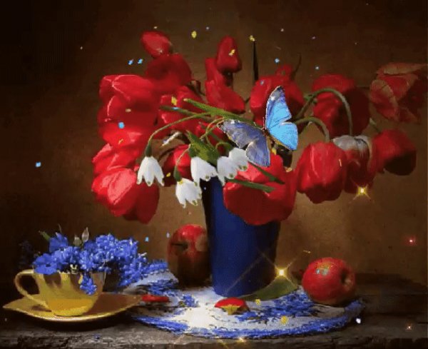 GIF-c9b89ec27c85ee9607372e628f58f5ff