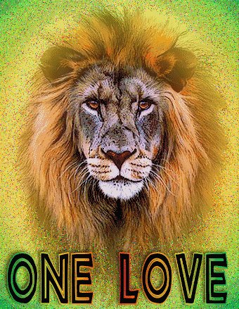 onelove arzpkzmt