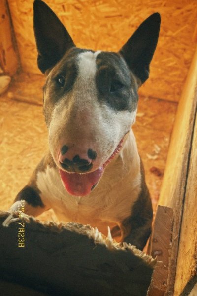 SGHKJGDSFGJK3S4X43C8