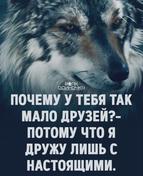 file_99841641