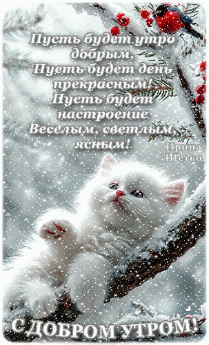 7f40038af5a998efda0a7e1a80723c60