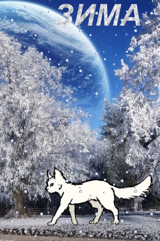 file_74845579