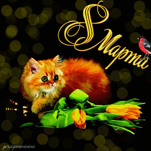 С 8 Марта!