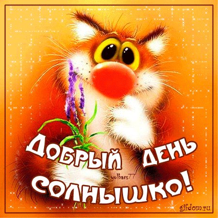 Добрый день солнышко!