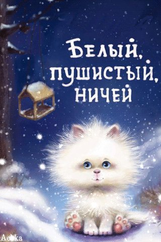 file_90076849