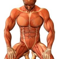 RxFYWlVcQh1XU1MATFZaAw