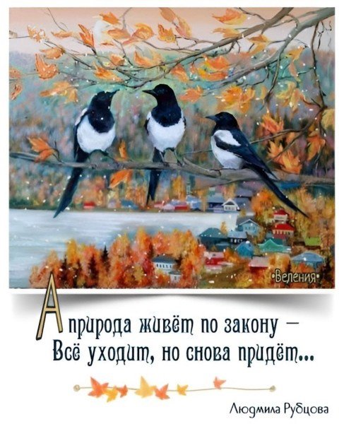 file_95105355