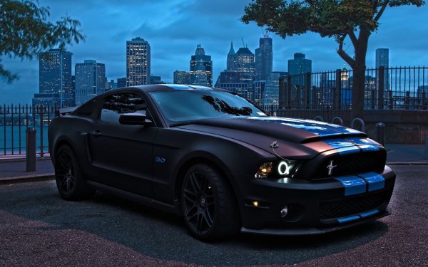 Mustang Gt500