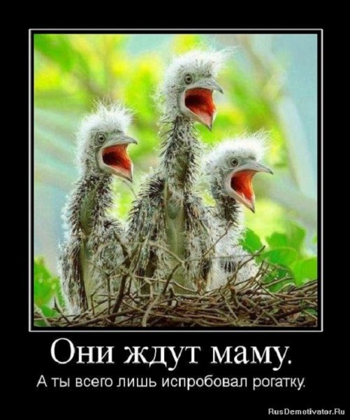 Они ждут маму