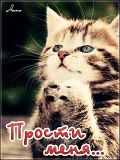 file_27470063