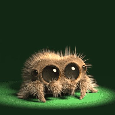 Лукас паучок