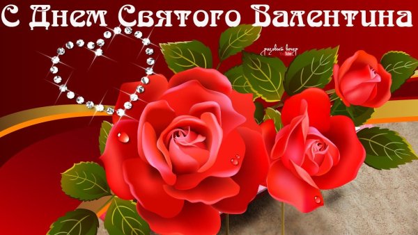 image (5)