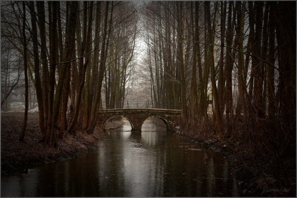 osen-most-rechka-park