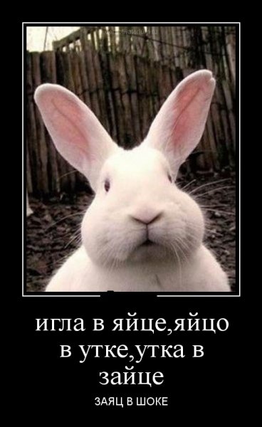 file_64834150