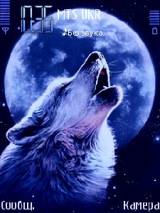 Wolf