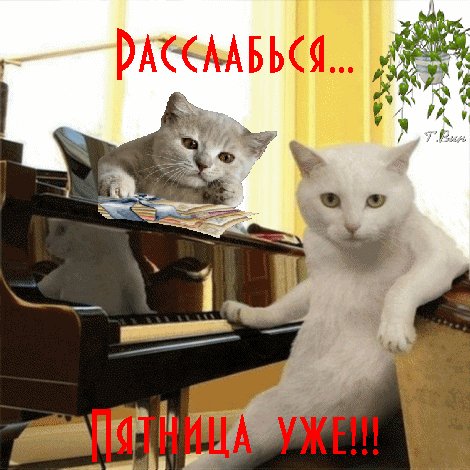 Анимированная открытка расслабься пятница