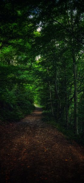 file_99707242