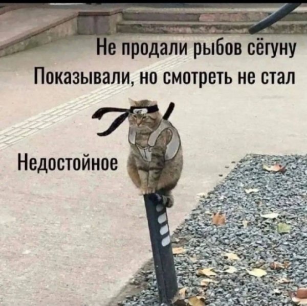 file_102470733