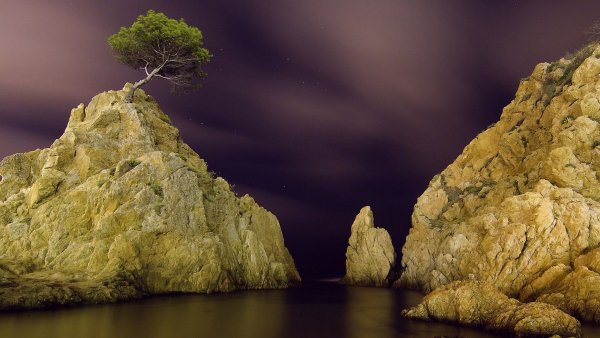 tree-on-the-cliff-nature-hd-wallpaper-1920x108