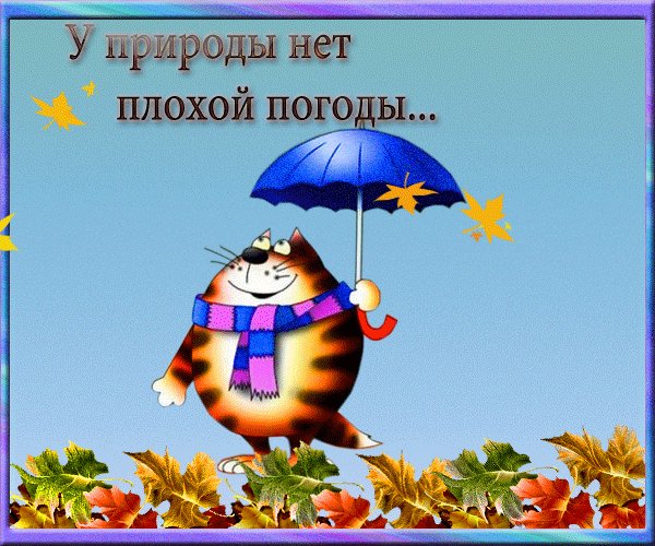 прикольные-отклытки-на-тему-погоды-смешные-открытки-про-погод