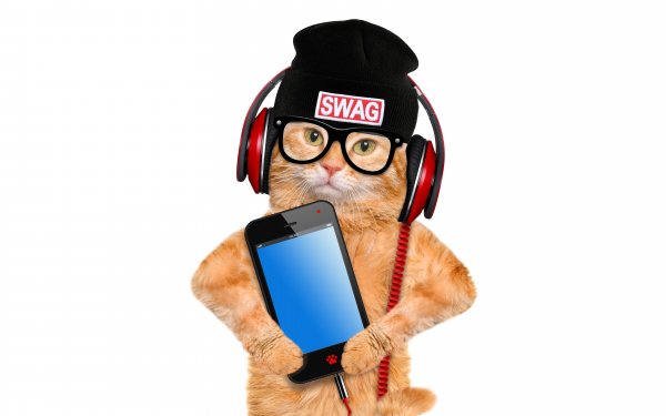 Kot-ryzhii-shapka-smartfon-naushniki-ochki-bely