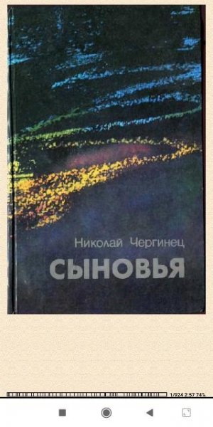 Николай Чергинец. Сыновья