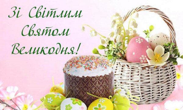 file_81314354