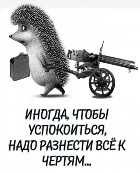 FB IMG 16248284122086914
