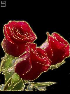 Red love rose анимация