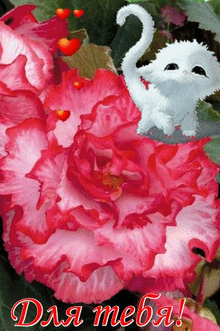 file_76525316