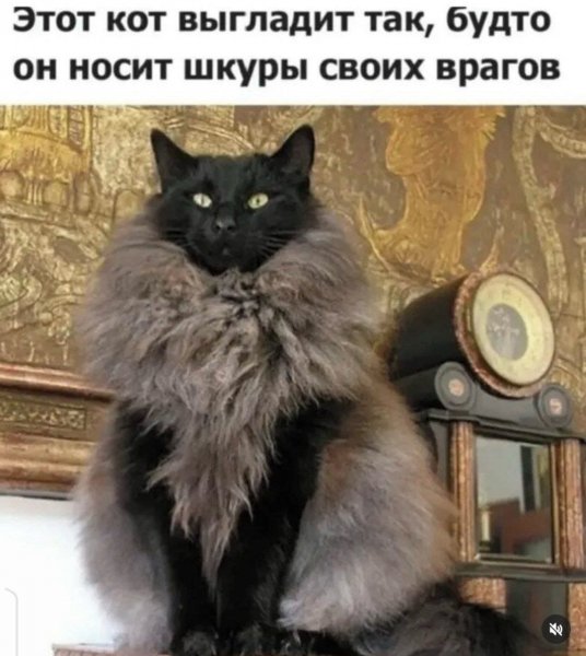 IMG 20260421 185145 823