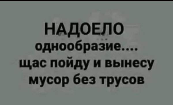 IMG-20251011-WA0009(1)