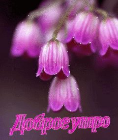 file_88705809