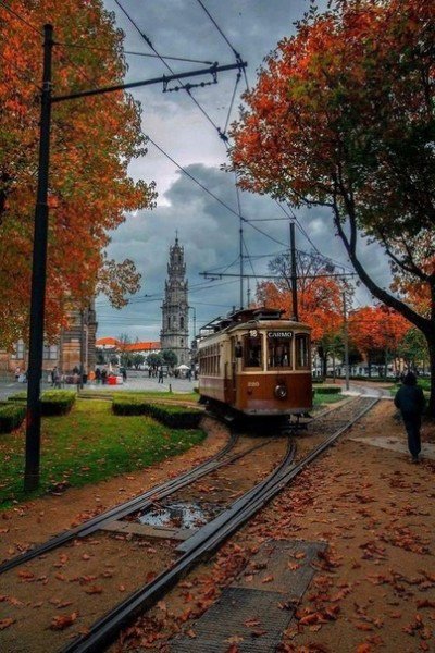 file_94909359