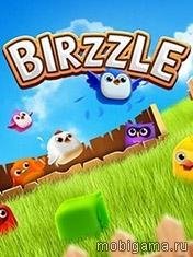 birzzle-240x320