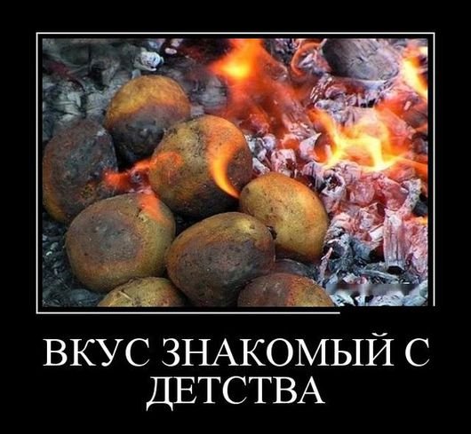 file_78544767