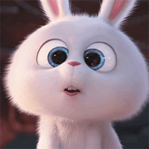 Snowball Look The Secret Life Of Pets GIF - Snowball Look S