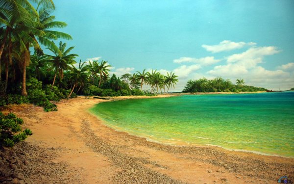 Прекрасный вид