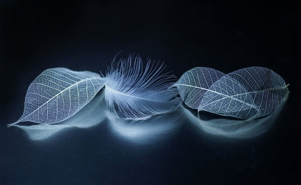 81e71cd7d4bed8fd292086cd96f6a92b