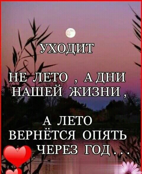 IMG 20210831 070626